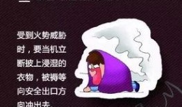 逃生最新爆料视频,逃生视频揭秘惊险瞬间